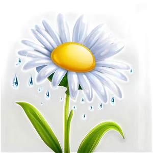 Dewy Daisy Png 2 PNG image