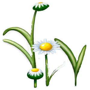 Dewy Daisy Png Unt PNG image