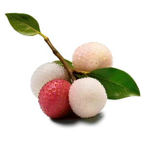 Dewy Fresh Lychee Png 06252024 PNG image