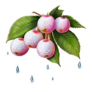 Dewy Fresh Lychee PNG 06252024