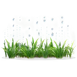Dewy Morning Grass Png Wnc PNG image
