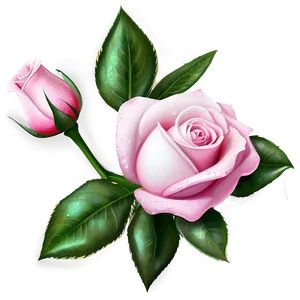 Dewy Pink Rose PNG 05242024