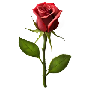 Dewy Red Rose PNG 05242024