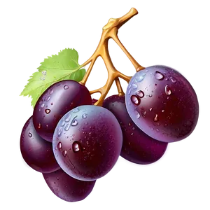 Dewy Single Grape PNG Nav PNG