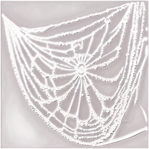 Dewy Spider Web Art PNG image