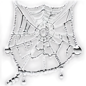 Dewy Spider Web Art PNG image