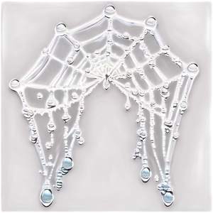 Dewy Spider Web Art