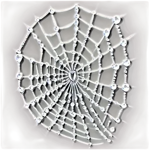 Dewy Spider Web Artwork