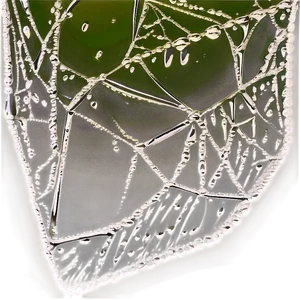 Dewy Spider Web Macro PNG