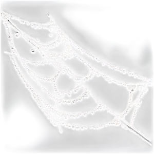 Dewy Spider Web Nature Art