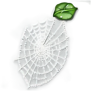 Dewy Spider Webwith Leaf PNG image