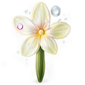 Dewy Spring Flower Png 06272024 PNG image