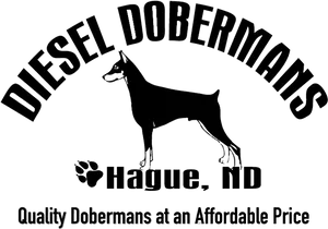 Diesel Dobermans Logo PNG image