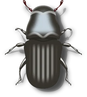 Digital Art Beetle Illustration PNG image