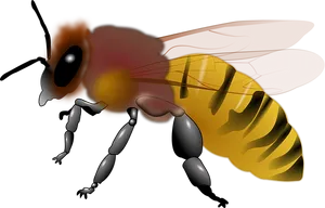 Digital Art Honeybee Illustration