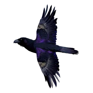 Digital Art Raven PNG 06122024 PNG