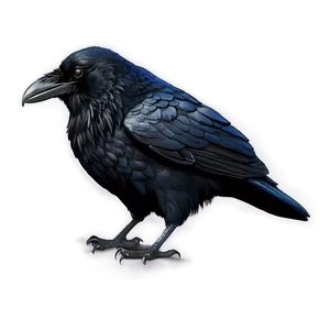 Digital Art Raven PNG Och PNG