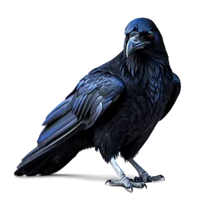 Digital Art Raven PNG Swk1 PNG