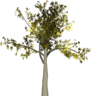 Digital Art Tree Against Black Background