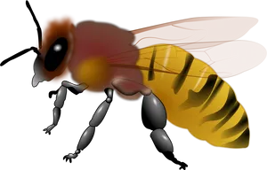Digital Artworkof Bee PNG image