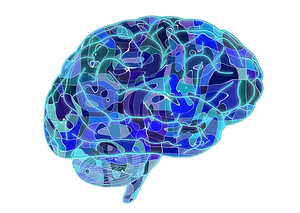Digital Brain Illustration PNG image