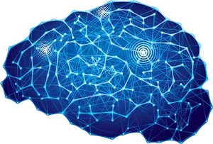 Digital Brain Network Illustration PNG