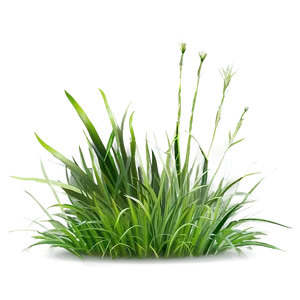 Digital Grass Clipart PNG 6