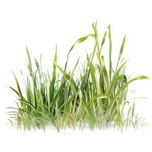 Digital Grass Clipart PNG 94