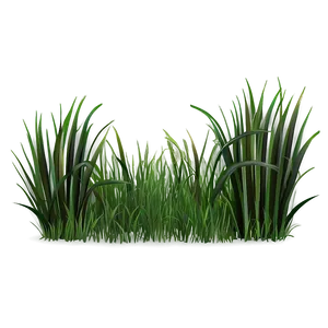 Digital Grass Clipart PNG Xbf67 PNG