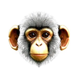 Digital Monkey Face PNG 87
