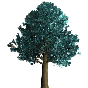 Digital Renderingof Tree Against Black Background