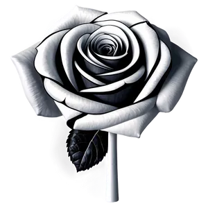 Digital Rose Black And White Png 06132024 PNG image