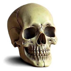 Digital Skull Drawing Png A PNG image