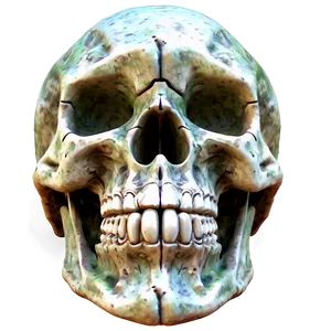 Digital Skull Face Creation PNG 06272024 PNG