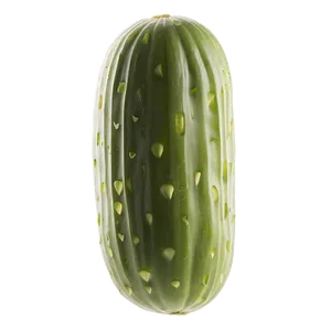 Dill Pickle C PNG image