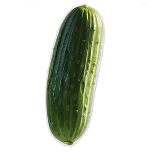 Dill Pickle Cartoon PNG Yfr