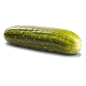 Dill Pickle In Brine PNG 37