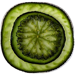 Dill Pickle Slice Top View PNG 06272024 PNG