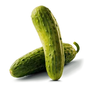 Dill Pickle With Dill Herb PNG 65