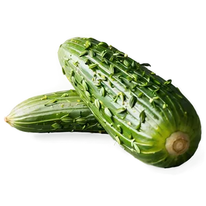 Dill Pickle With Dill Herb PNG 70