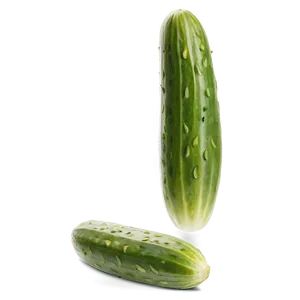 Dill Pickle With Dill Herb PNG Quh99