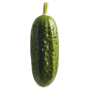 Dill Pickle With Dill Herb PNG Tvu93