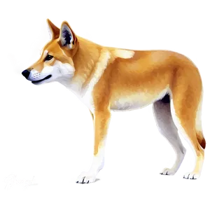 Dingo Animal Icon Png 77 PNG image