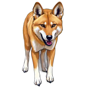Dingo Illustration PNG Vrp5 PNG
