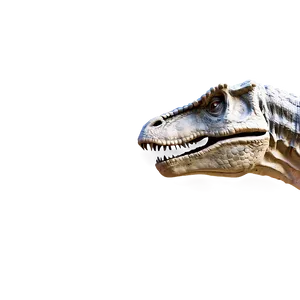 Dinosaur Head With Open Mouth PNG 59 PNG