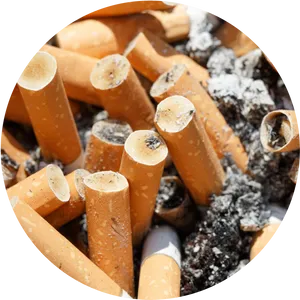 Discarded Cigarette Butts PNG image