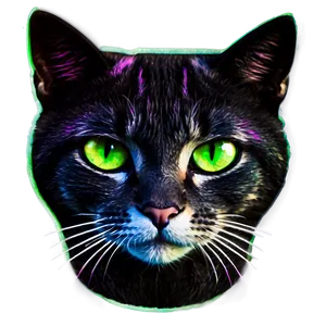 Disco Cat Filter PNG 06282024