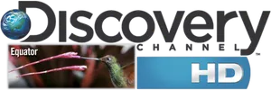 Discovery Channel H D Logowith Hummingbird PNG image