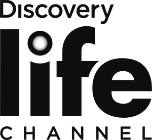 Discovery Life Channel Logo PNG image