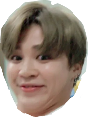 Distorted Face Expression B T S Member